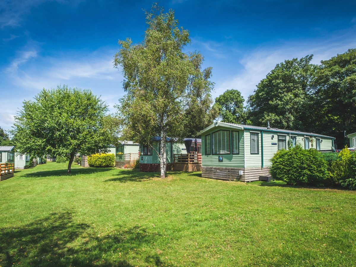 Green static caravans spaced across a mown lawn with mature trees and a blue sky.