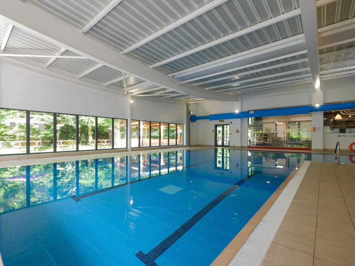 The indoor rectangular pool with lane markings, a tiled surround and a wall of windows onto woodland.