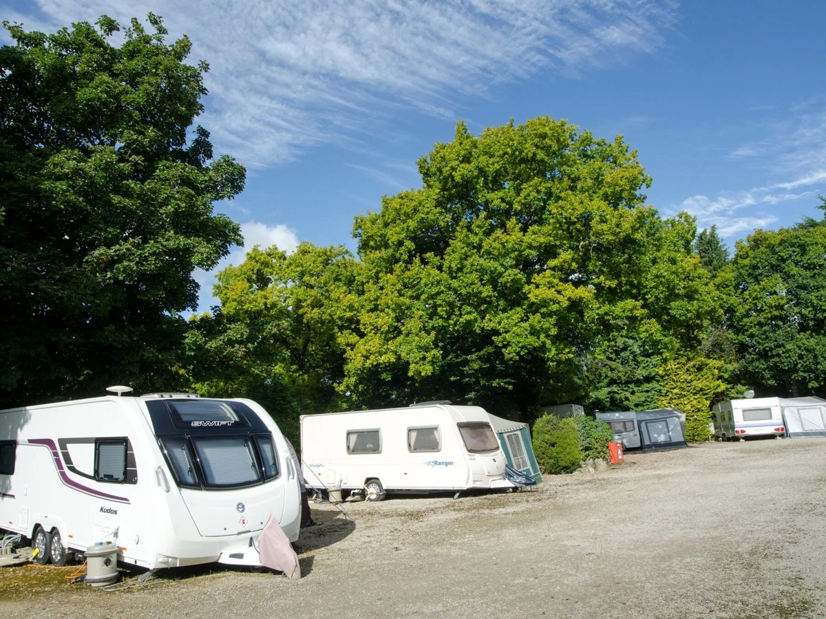 Touring caravans on a gravel pitch area edged by tall leafy trees under a blue sky.