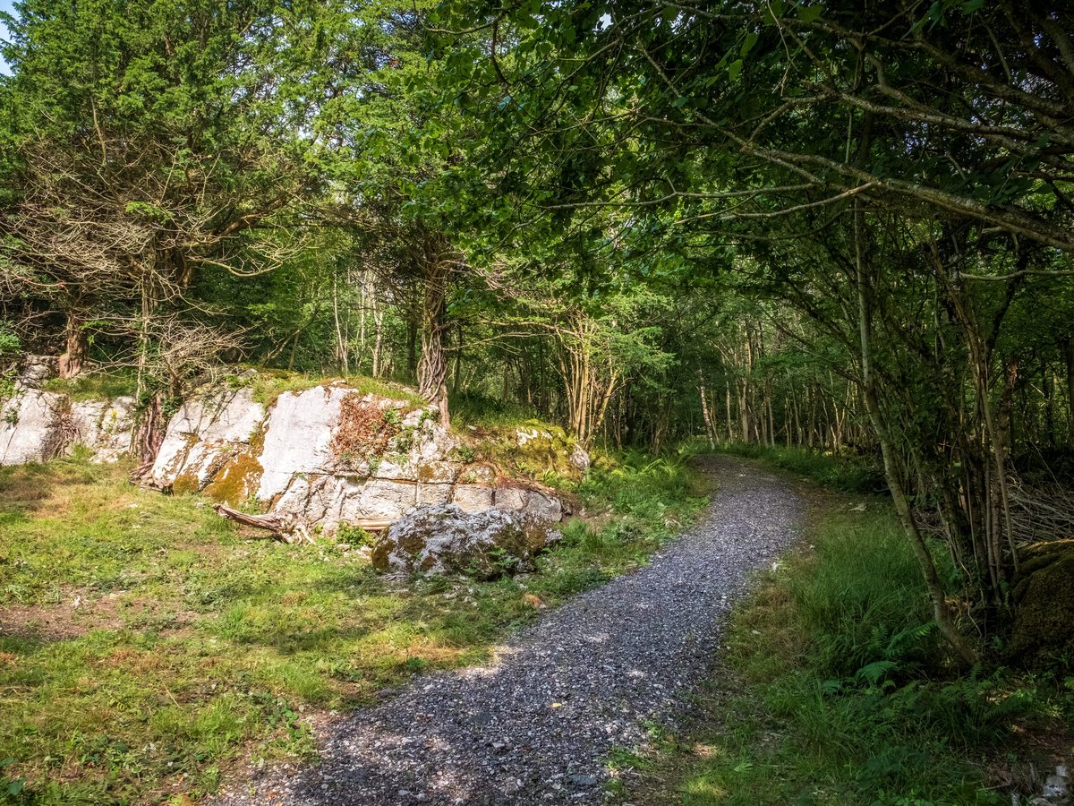 A level gravel path curving through woodland past a mossy limestone outcrop.