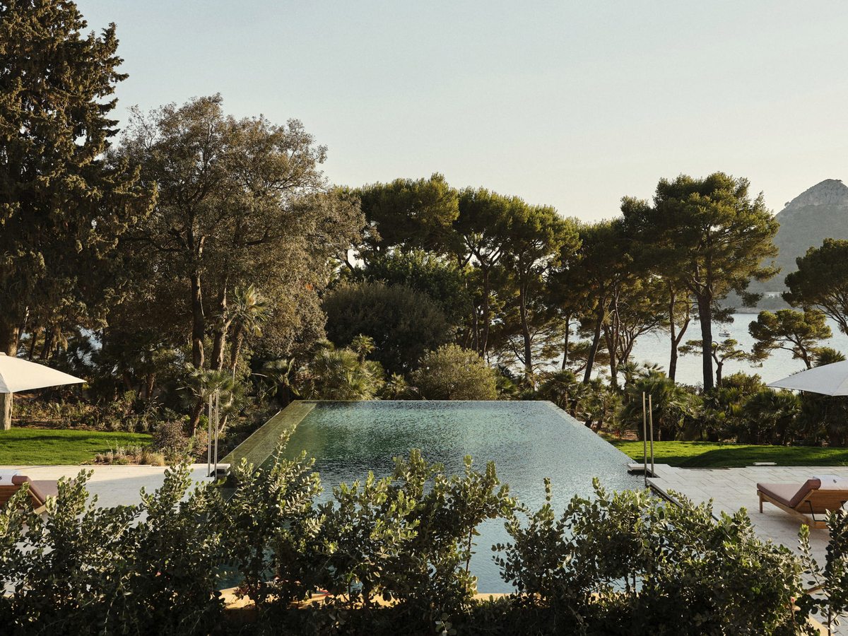 A rectangular infinity pool framed by pines and shrubs, with a lounger and a parasol on the terrace and the bay visible through the trees.
