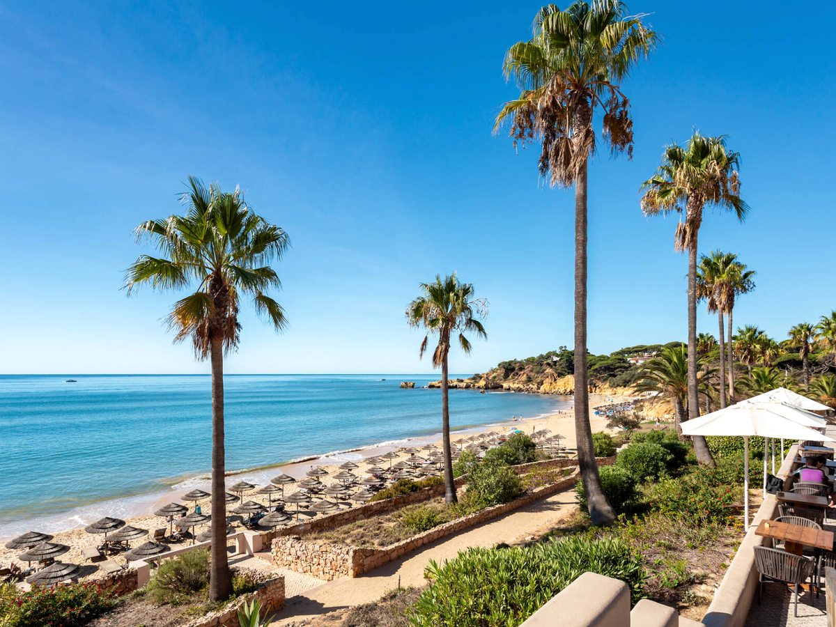 Tall palms above a sandy beach lined with loungers and umbrellas, the sea beyond.