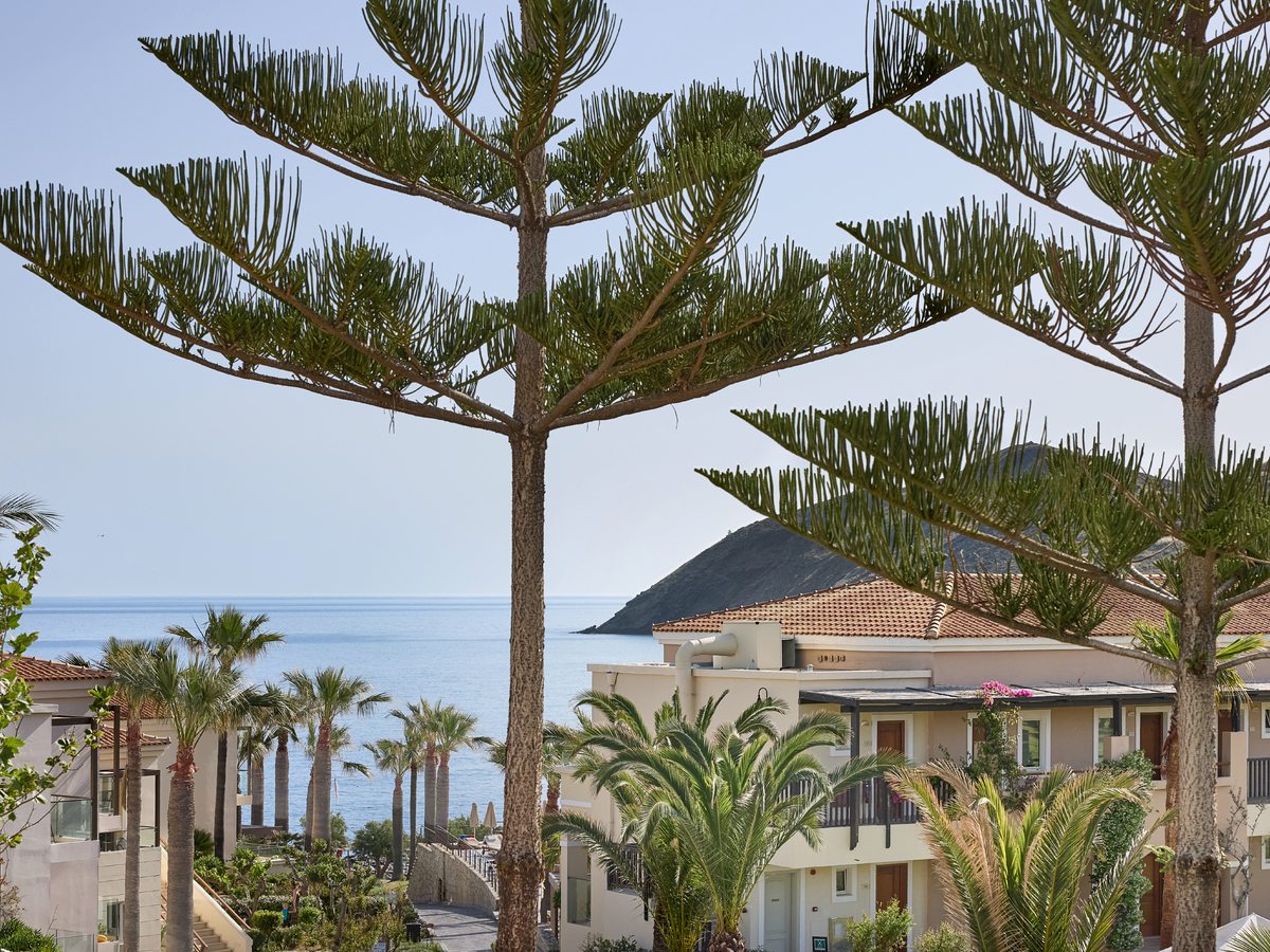 Resort gardens with a tall pine and palms among cream tile-roofed buildings, the sea in the distance.