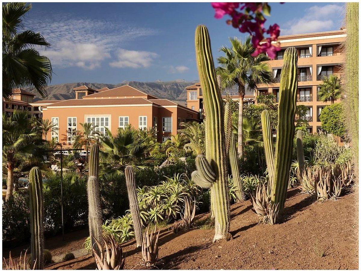 A garden of tall columnar cacti and flowering bougainvillea in front of the terracotta hotel buildings.