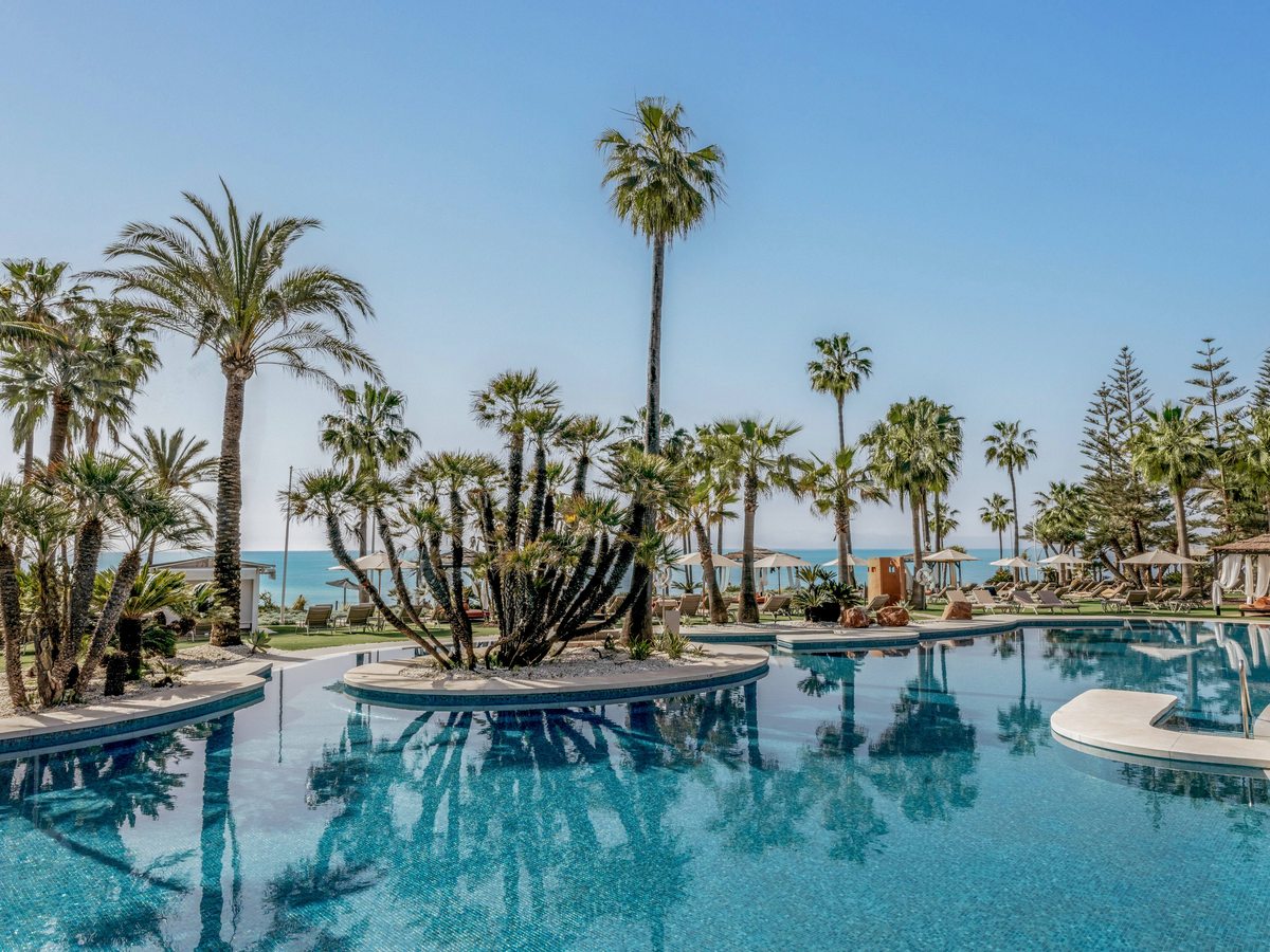 A curved outdoor pool ringed by tall palms and planted islands, with sun terraces around it.