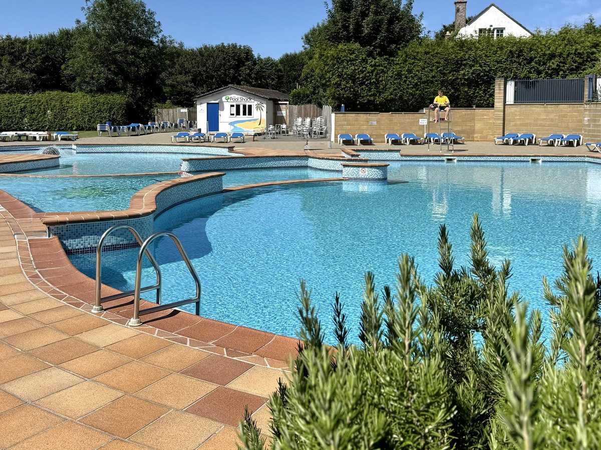 A curved outdoor pool with shallow entry steps, handrails, sun loungers and poolside hedges.