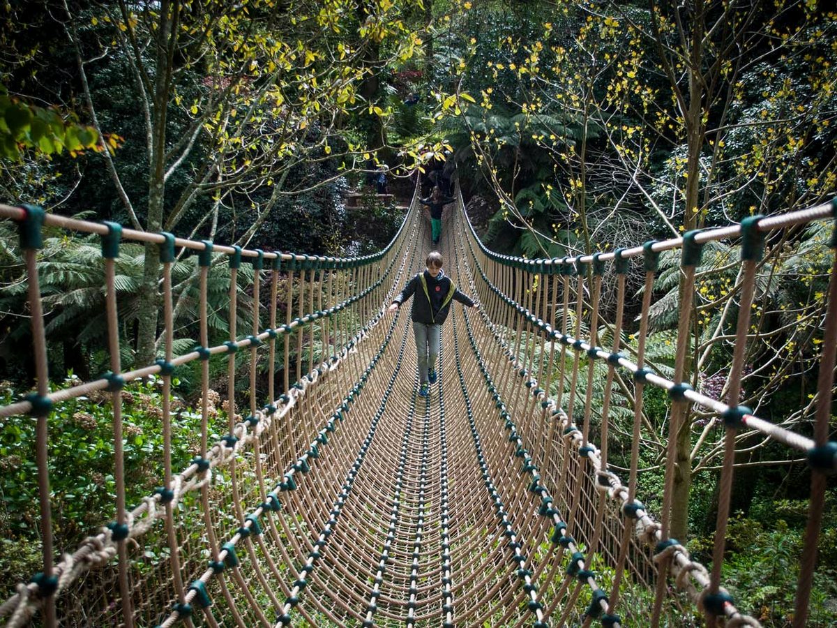 A person crossing a rope suspension bridge through dense green woodland.