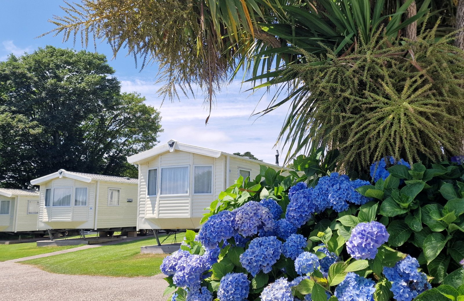 Hendra Holiday Park near Newquay, rows of holiday caravans set among landscaped Cornish parkland.