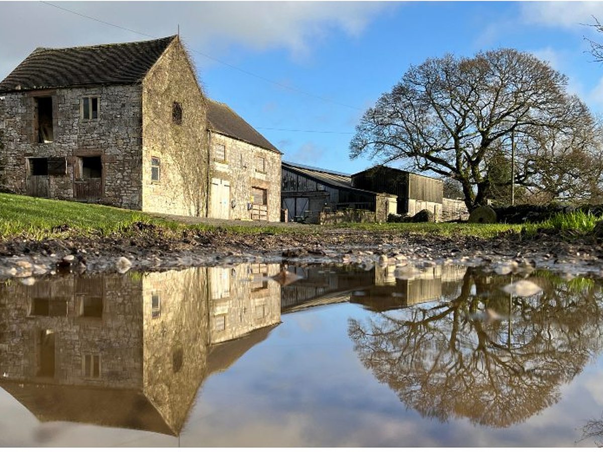 Traditional stone farm barns with slate roofs reflected in a large puddle on the yard, with a bare tree and open fields beyond.