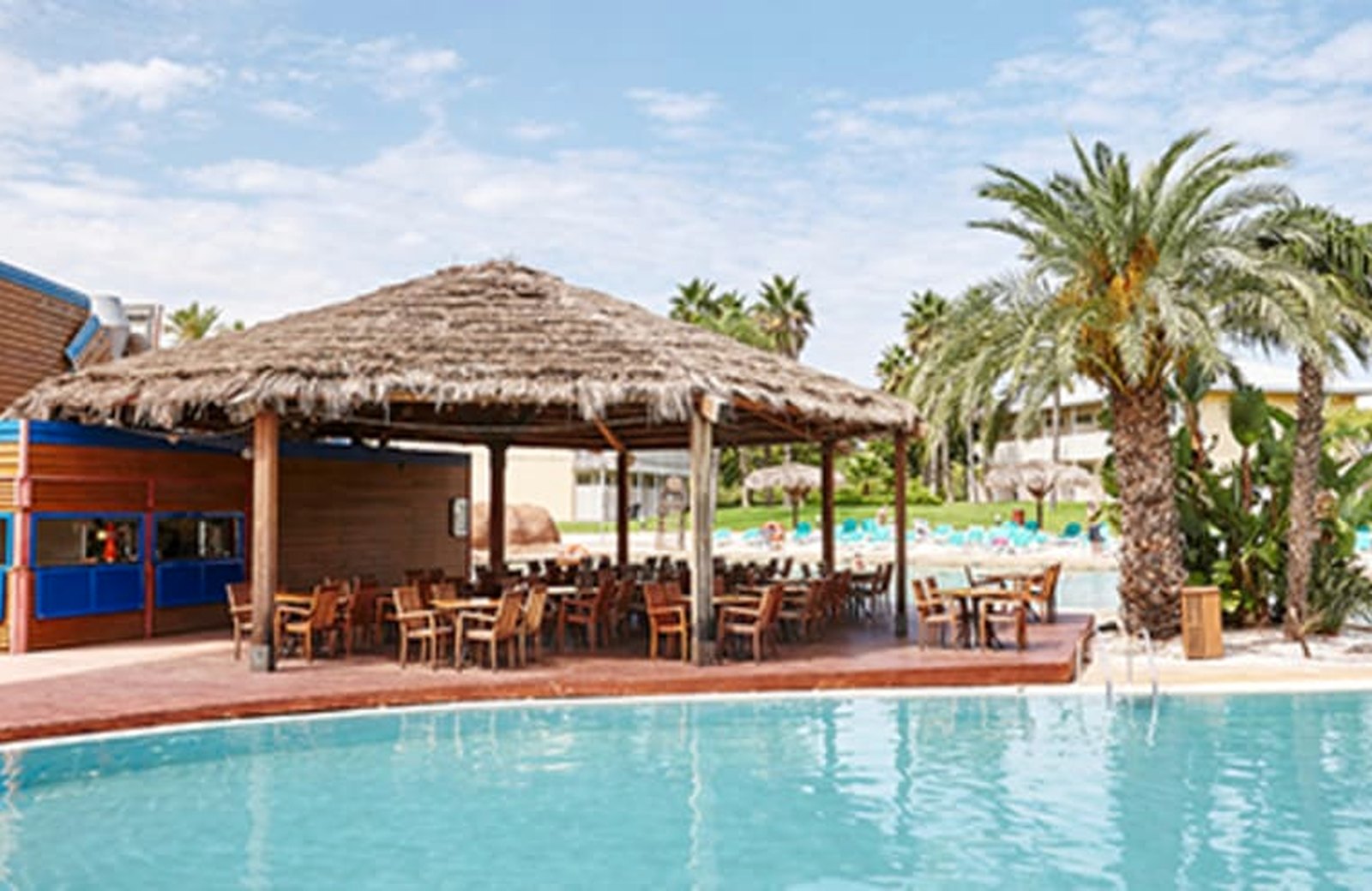 The lagoon-style pool at Hotel Caribe, a thatched-roof poolside bar at the water's edge among palms under a blue sky.