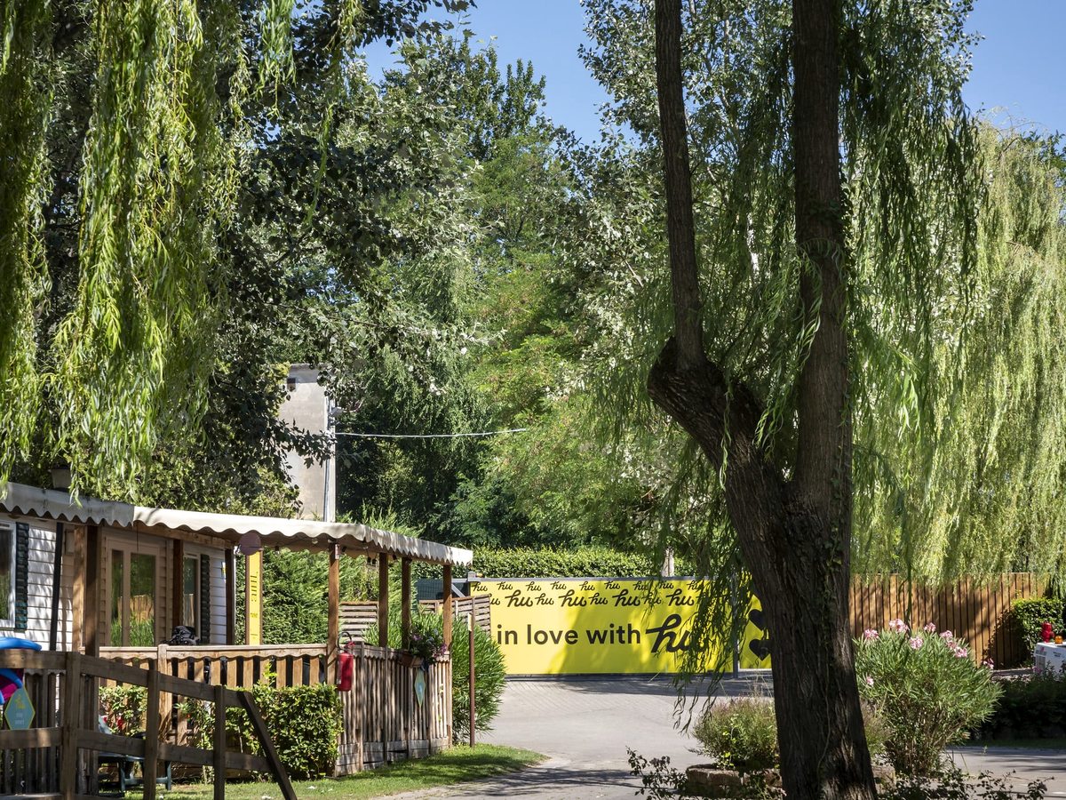 A shaded path winding through green grounds with mobile homes among mature trees.