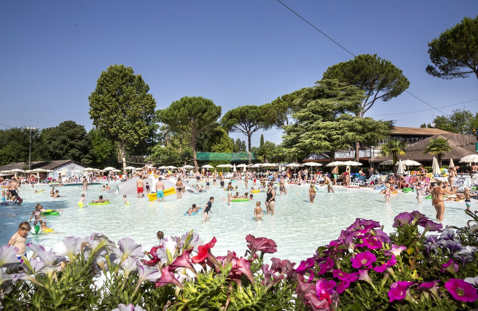 The busy water park at hu Altomincio village: a large outdoor pool full of swimmers, ringed by loungers and parasols beneath tall pines, with pink flowers in the foreground.