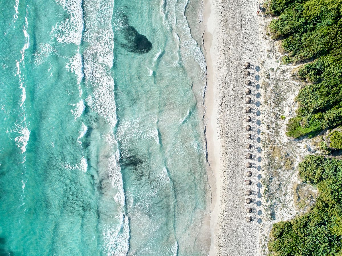 An aerial view of the white sand and turquoise shallows of Playa de Muro with a row of parasols along the shore.