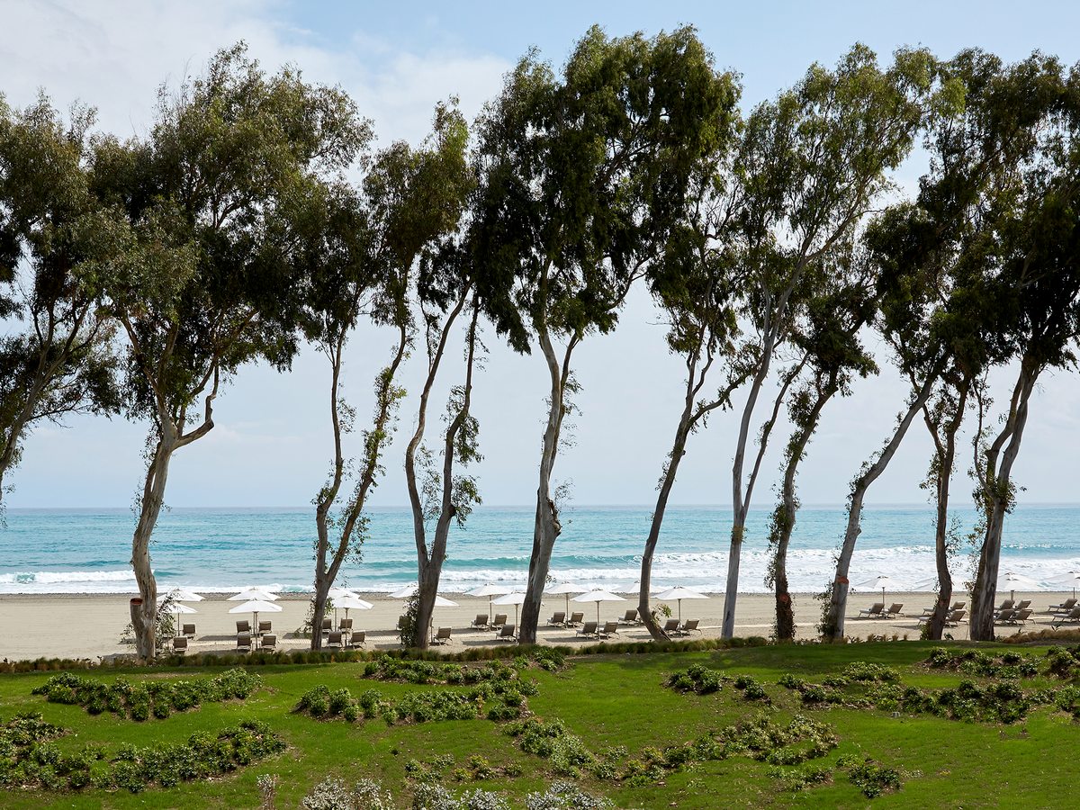 The beach at Ikos Andalusia seen from the lawn through a screen of eucalyptus trees, with rows of sunbeds and parasols on the sand and surf breaking beyond.