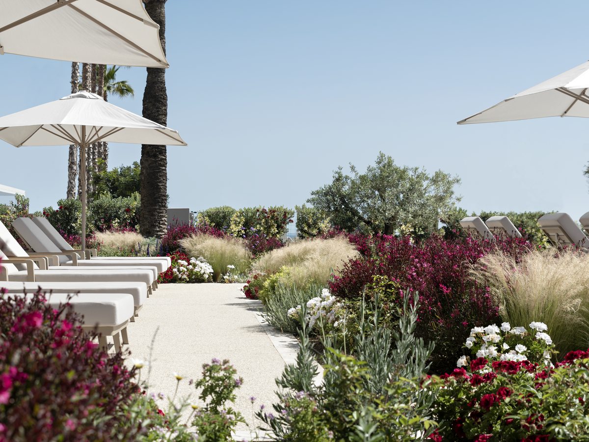 A level paved garden path at Ikos Andalusia between deep borders of pink and white flowers, with sun loungers and parasols along either side.
