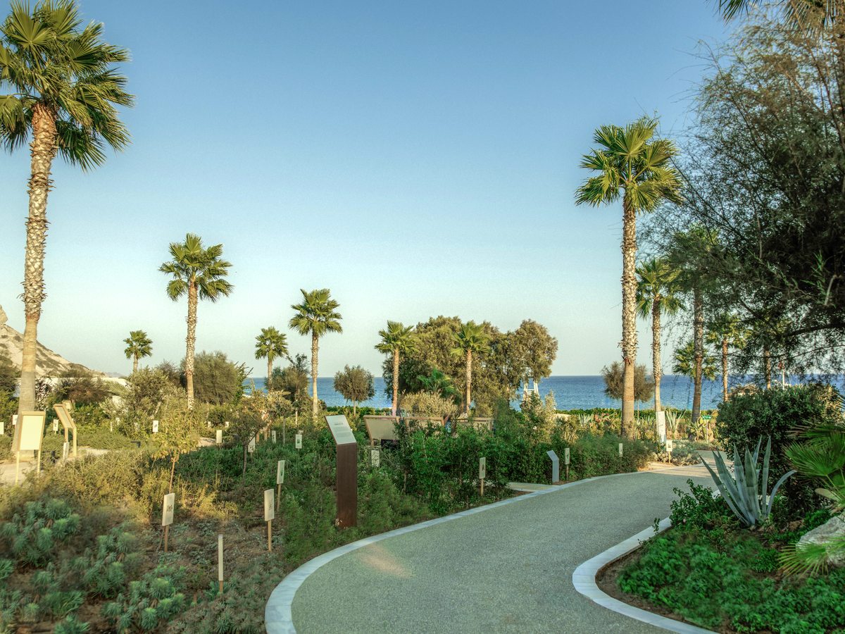 A curving path through the resort gardens, lined with palms, olive trees and low planting, with the sea at the end of it.