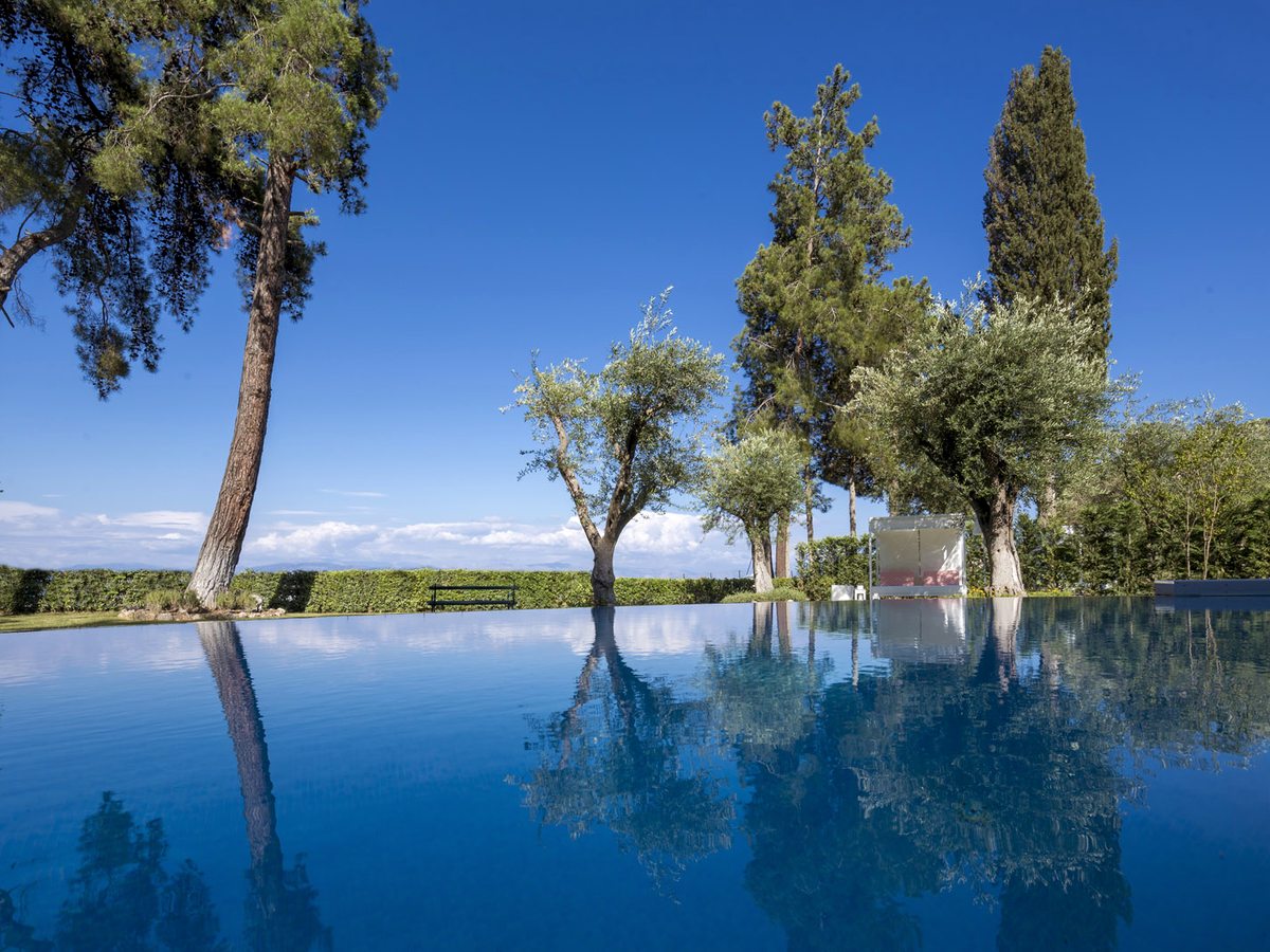 A pool with pines, olive trees and cypresses along its far edge under a clear sky.