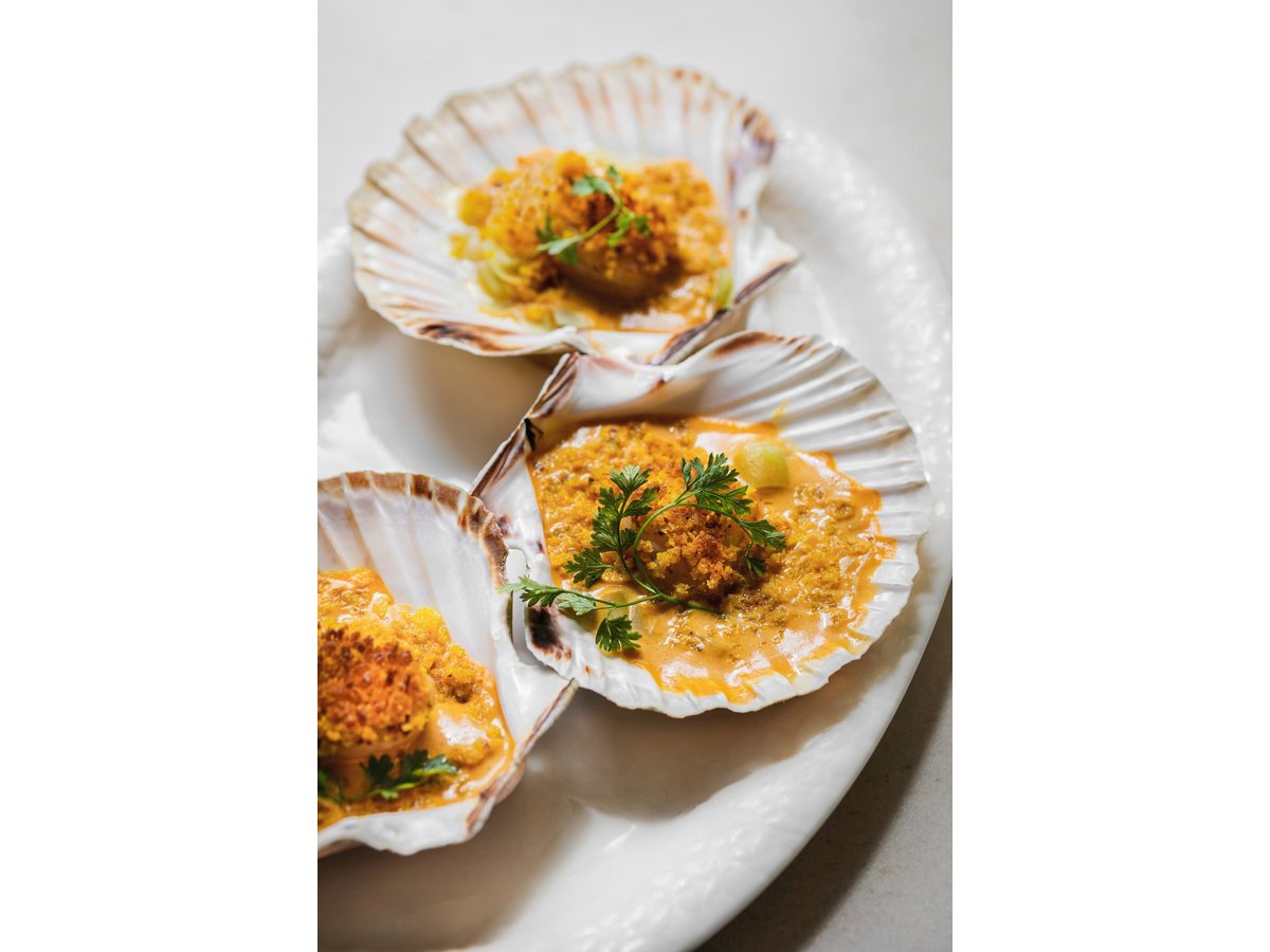 Three scallops gratinated in their shells, topped with breadcrumbs and parsley, on a white plate.