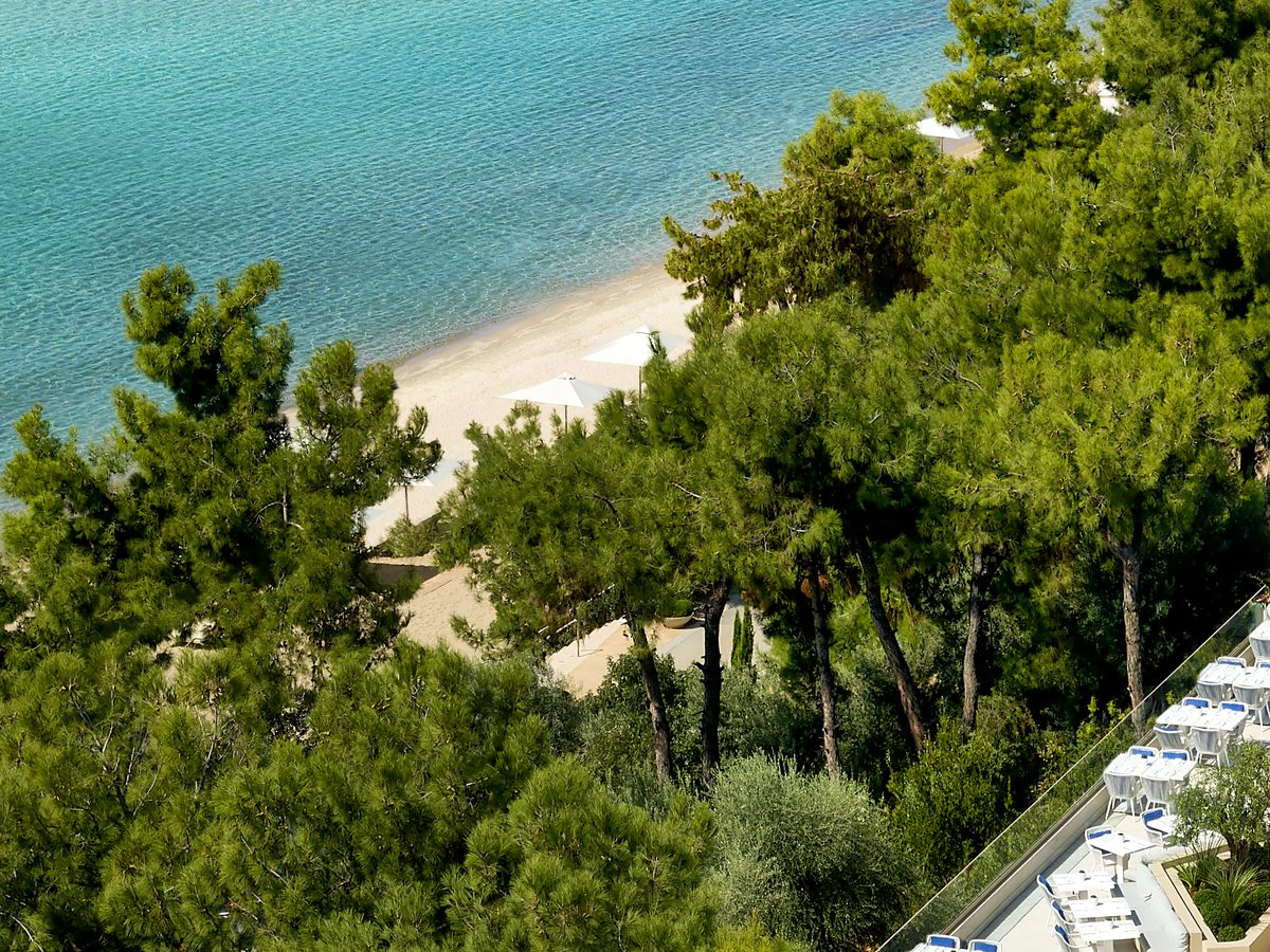 Aerial view of the pine-covered slope below the resort, dropping to a strip of pale sand and clear turquoise water, with white terraces at the foot of the trees.
