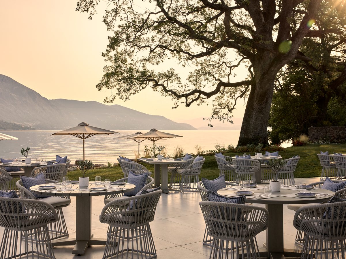Tables and woven chairs set out under a large spreading tree beside the shore, with parasols and the bay behind.