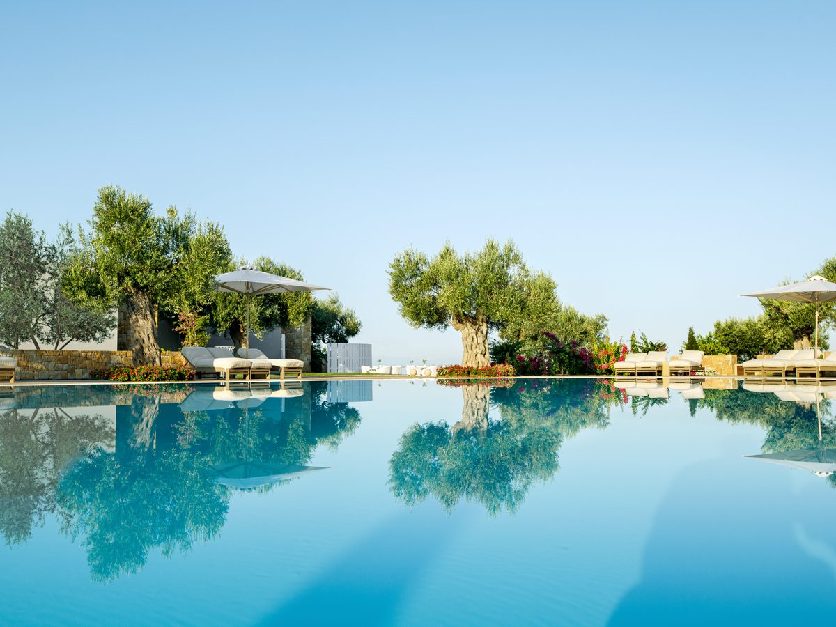 A wide pool at ground level, its still water reflecting the olive trees and cabanas along the far edge.