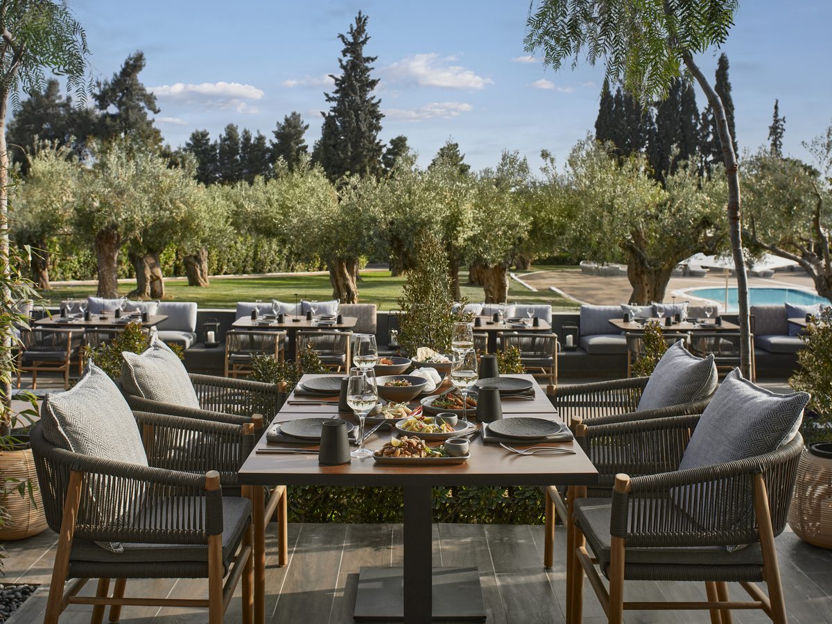 The outdoor terrace at Anaya, tables and cushioned chairs set among olive trees with a pool behind.