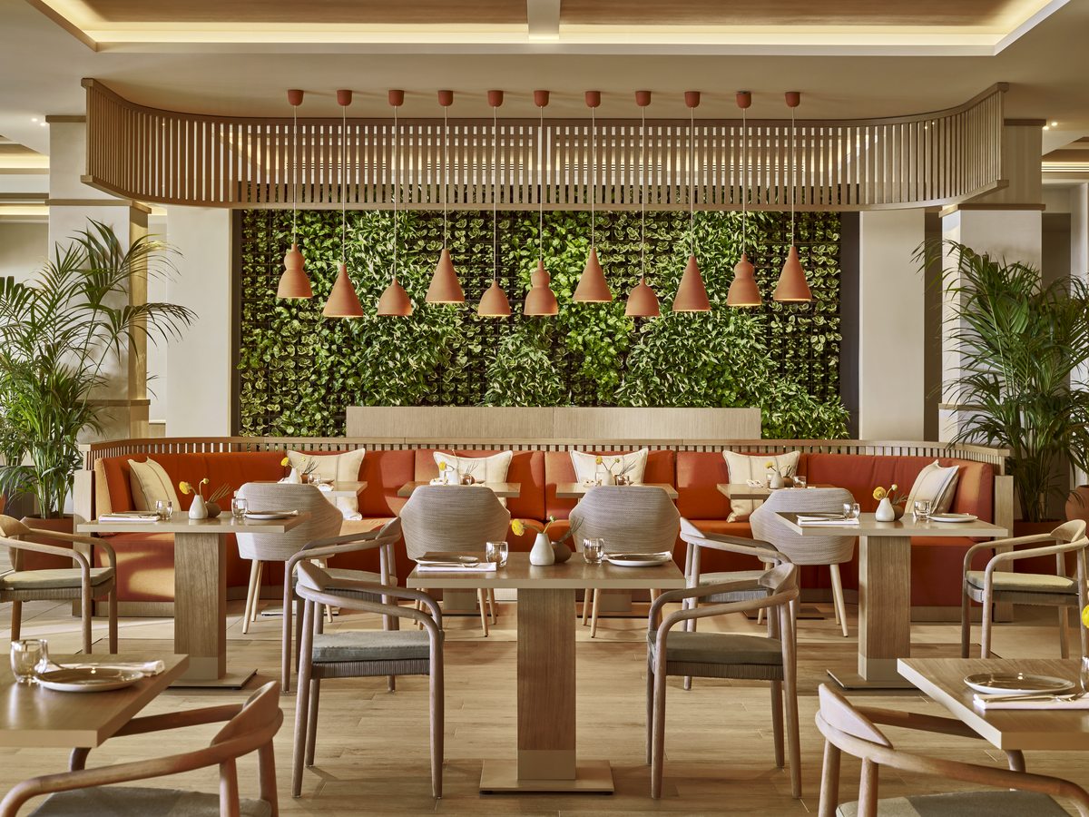 The dining room at Flavors, with banquettes, wooden chairs and a planted green wall.