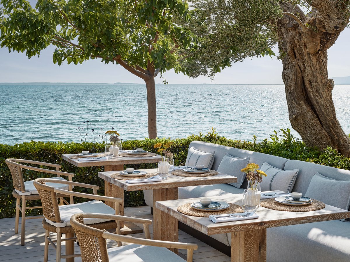 The terrace at Ouzo, tables and low sofas set under an old olive tree beside the sea.