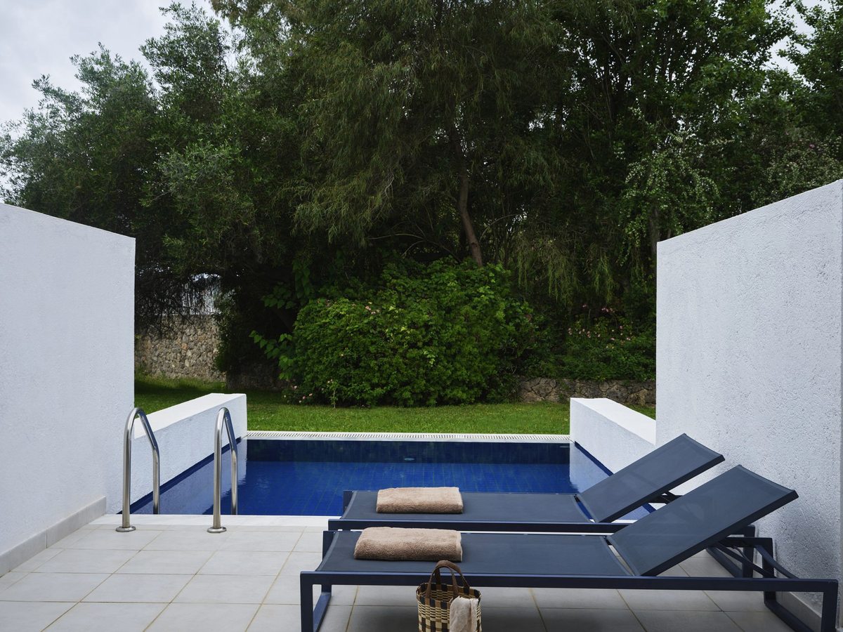 A small blue-tiled pool with a chrome ladder on a white-walled paved terrace, two dark sun loungers with towels, and a lawn and trees behind.