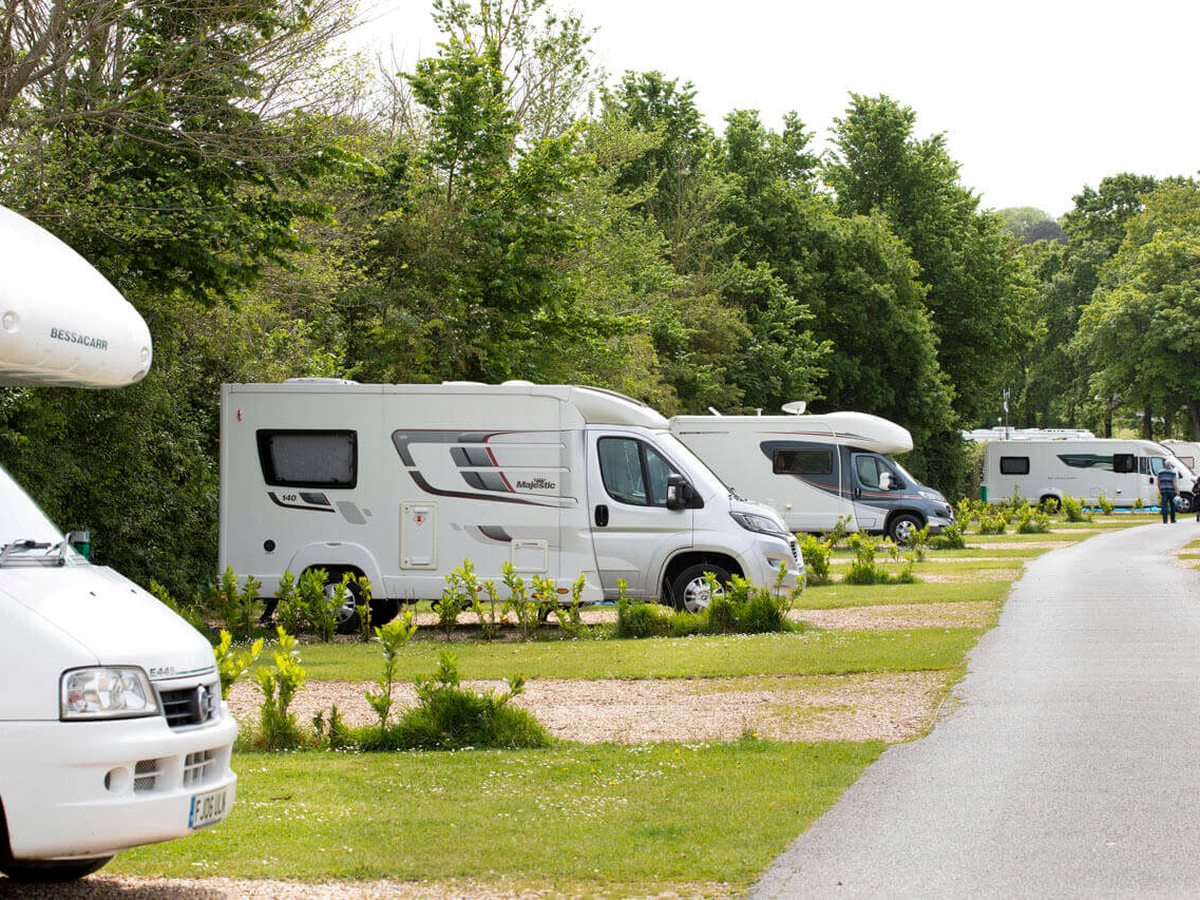 White motorhomes parked on gravel and grass pitches either side of a narrow tarmac road, with young shrubs, mown verges and mature trees behind.