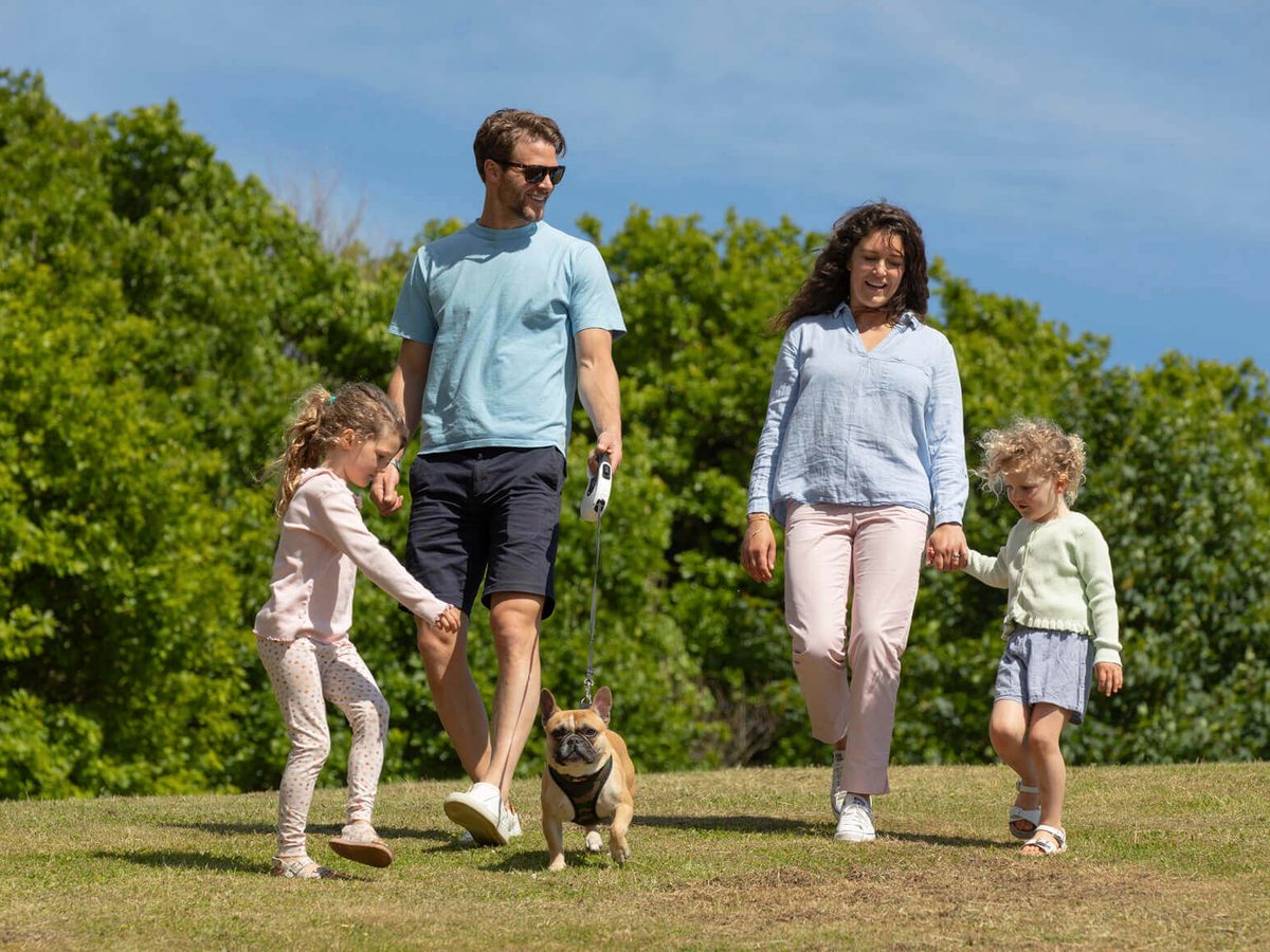 Two adults and two young children walking a small French bulldog on a lead across a mown grass slope in front of a dense green hedge under a blue sky.