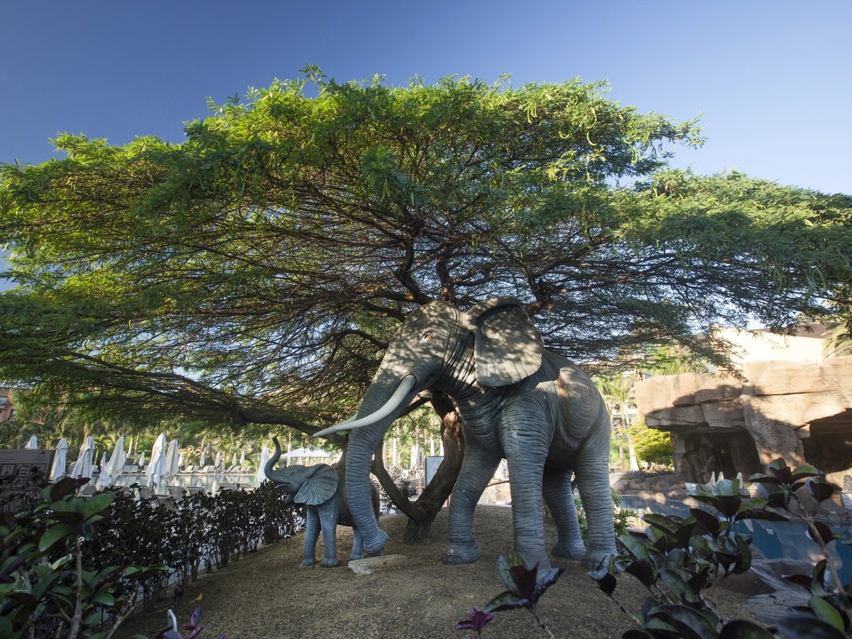 Two life-size grey elephant sculptures standing among rocks and planted beds beneath a broad flat-topped acacia tree, with sun loungers behind.