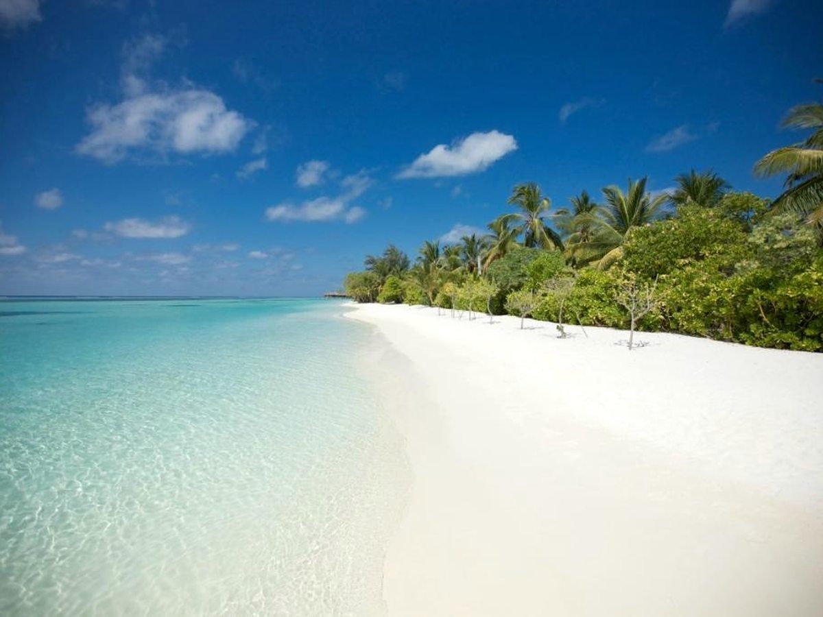 A curving stretch of white sand backed by low green scrub and coconut palms, with clear pale turquoise shallows along its edge.