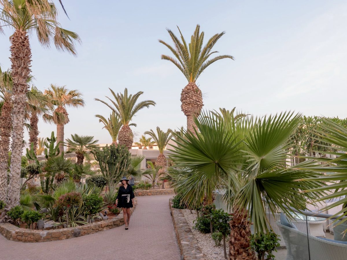 A paved path curving between tall palms and subtropical planting, with a guest walking towards the camera.