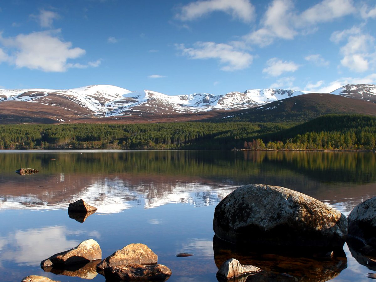 A still loch with boulders in the shallows, dense pine forest along the far shore and a long snow-topped mountain range behind.