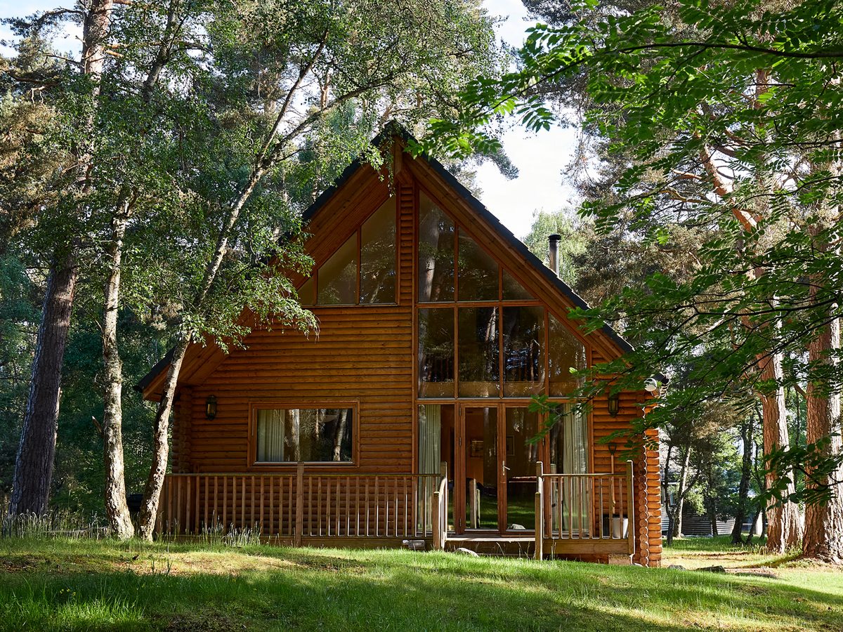A timber A-frame lodge with a steep roof, a tall glazed gable and a wooden deck, standing on grass among birch and pine trees.