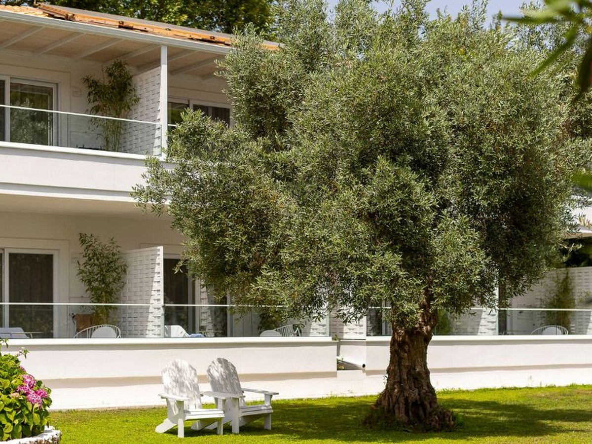 Two-storey white hotel building with glass-railed balconies on both floors, a large olive tree on the lawn in front and two white wooden chairs on the grass.