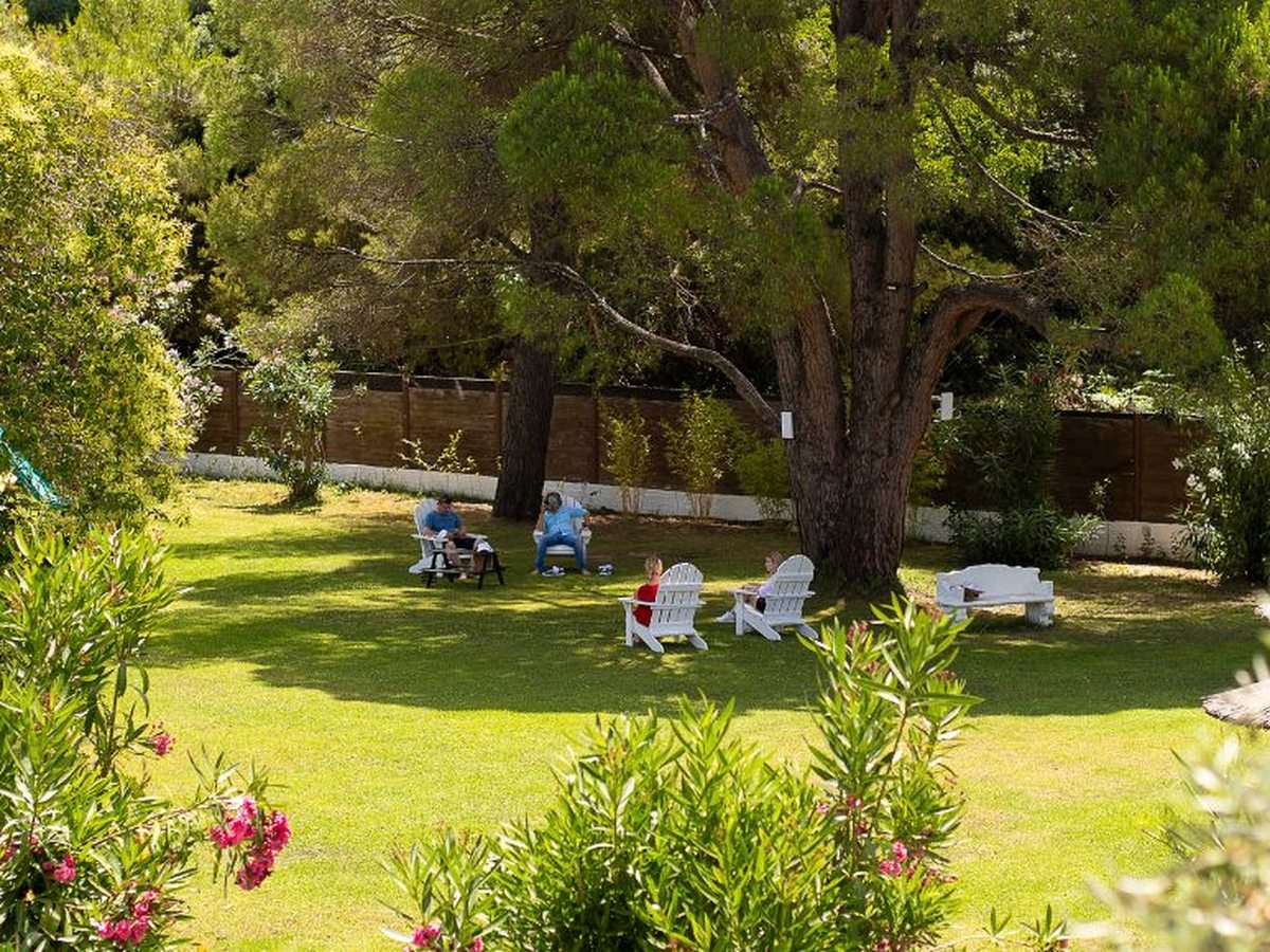 Wide green lawn shaded by tall pine trees, with guests sitting in white wooden chairs and at a picnic table, and flowering pink oleander in the foreground.