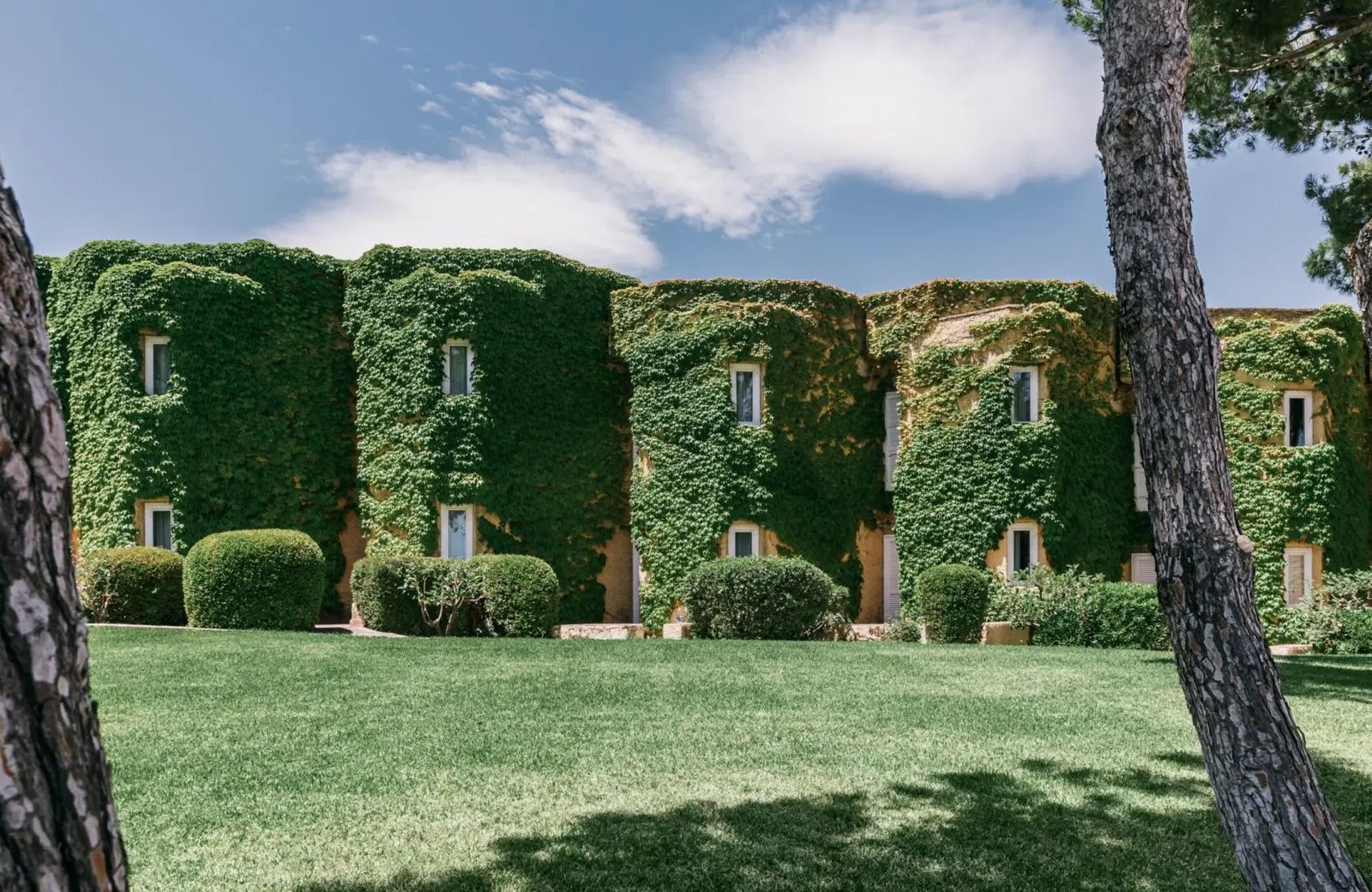 Ivy-covered low-rise room blocks with shuttered windows behind clipped hedges and a mown lawn, framed by two pine trunks under a blue sky.