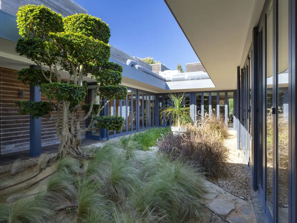 A narrow courtyard of feather grasses and a clipped tree between timber-clad, glazed single-storey buildings under a clear blue sky.