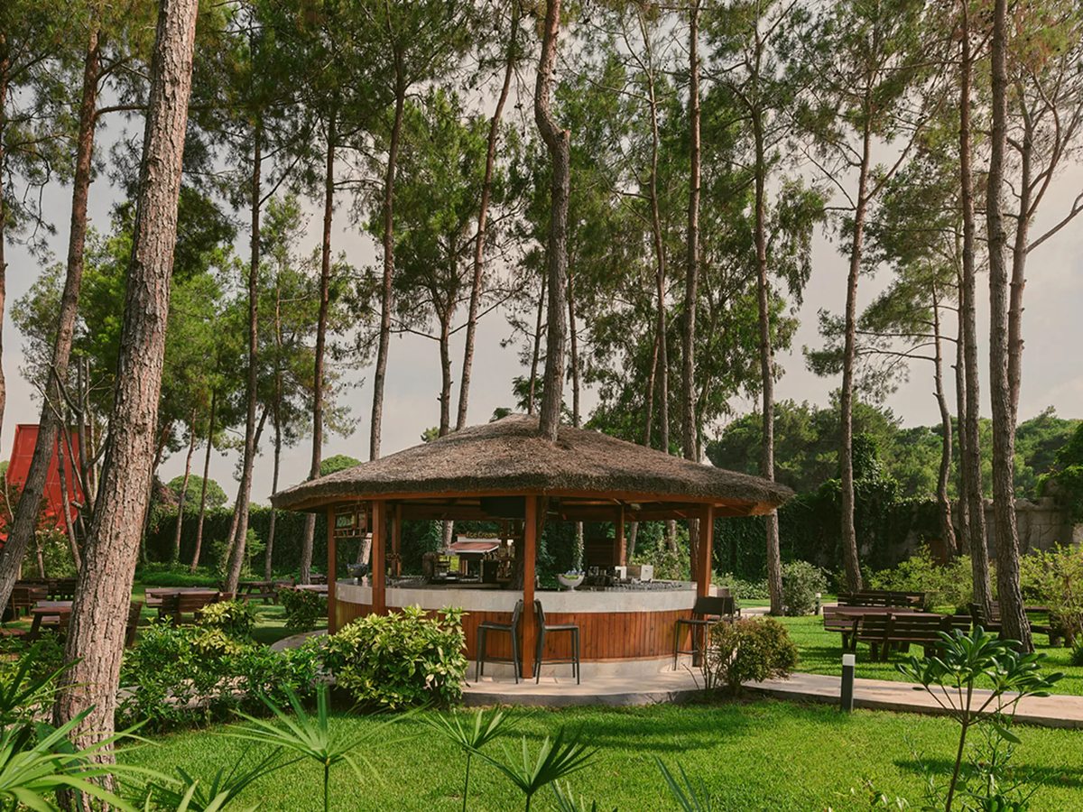 A round thatched pavilion with a curved counter and stools, standing on a lawn among tall umbrella pines, with clipped shrubs and paths around it.
