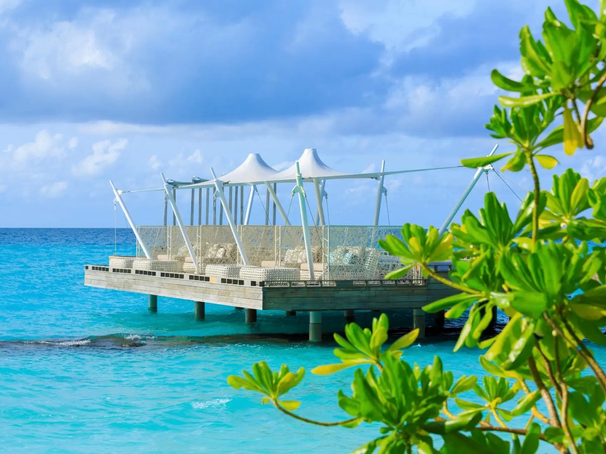 A timber deck reaching out over shallow turquoise water, shaded by white sail canopies, with the island's greenery and shoreline behind it.