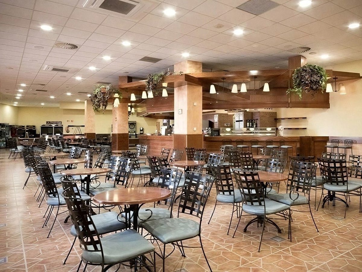 Large cafe with round wooden tables and pale blue cushioned metal chairs on a terracotta tiled floor, a wooden servery counter along the back wall and hanging plants above it.