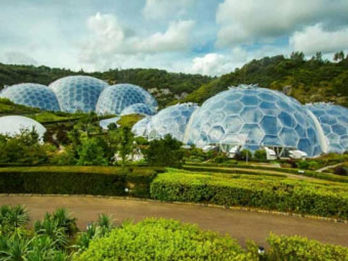 A cluster of large honeycomb-panelled geodesic domes set in a green former quarry, with clipped hedges and planted gardens in front of them.