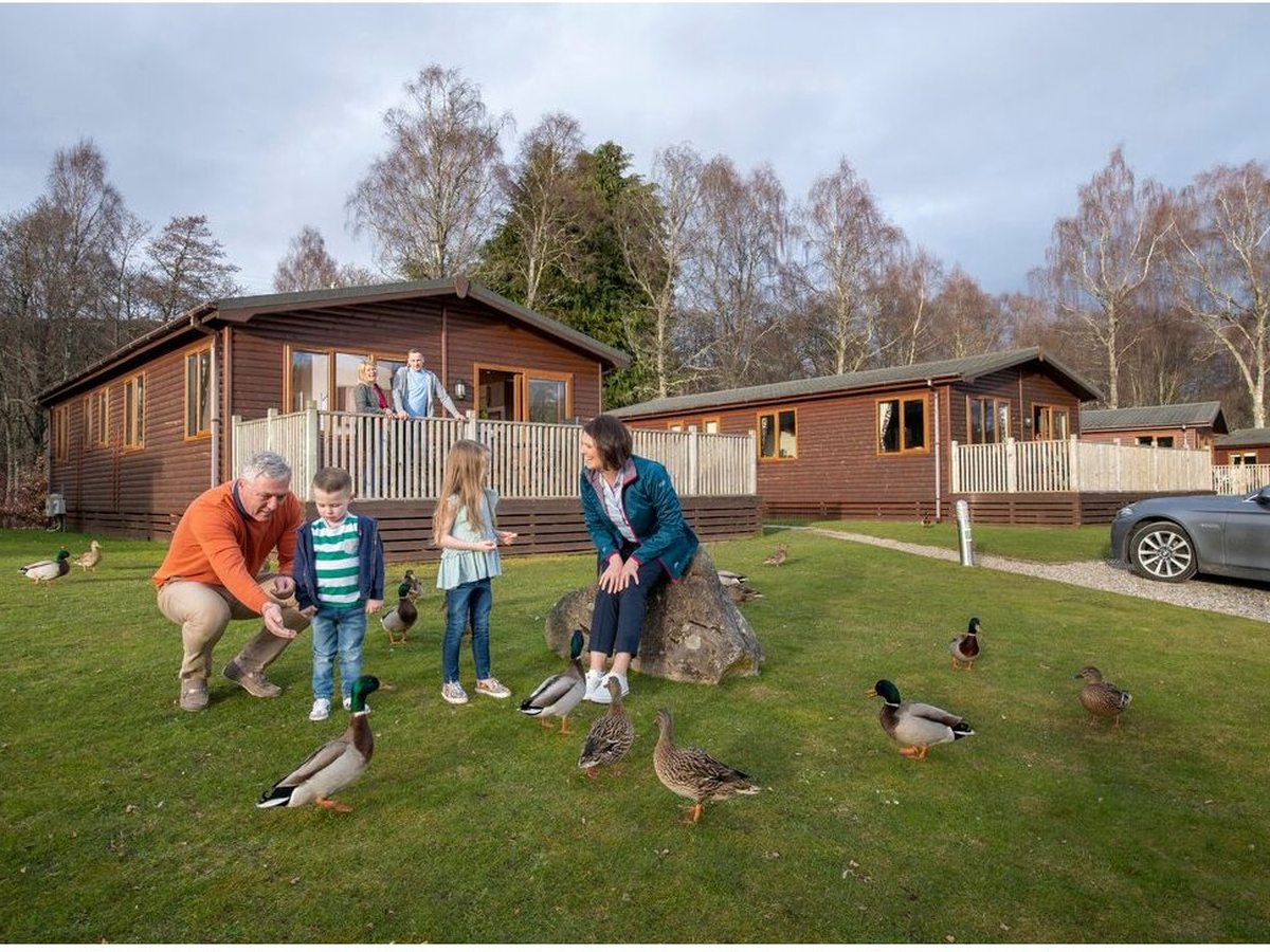 A family feeding mallard ducks on the grass in front of a row of timber lodges with decked verandas, bare winter trees behind.