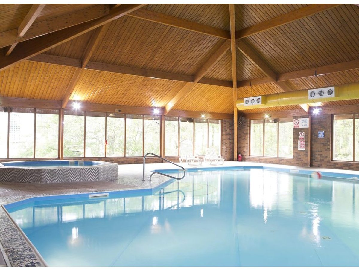 A large indoor swimming pool under a high timber-panelled ceiling, with windows onto the woods and a raised shallow pool to one side.