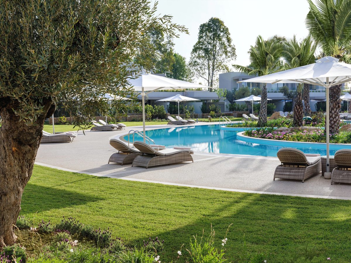 Curved pool with sun loungers and white parasols on the terrace, a level lawn in front and a mature olive tree to one side.