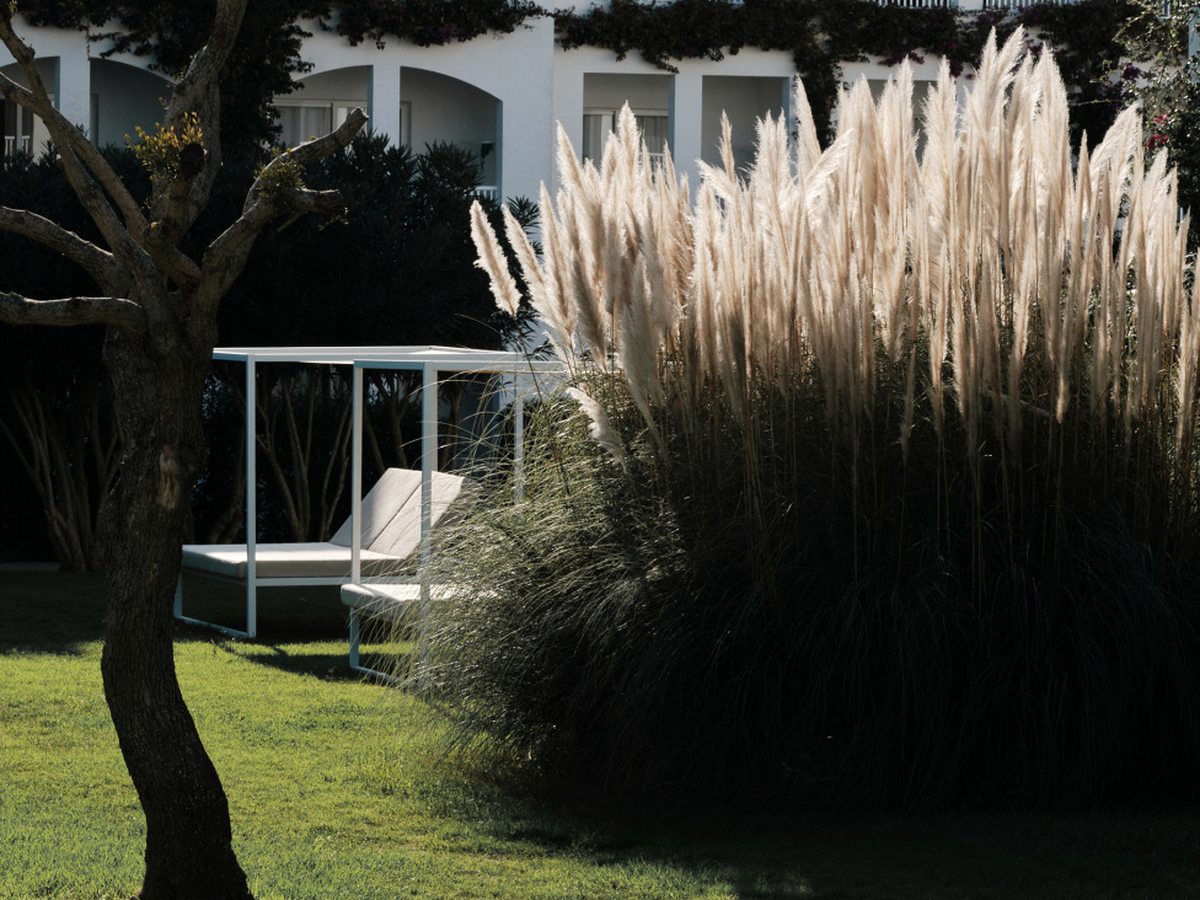 A white four-poster daybed with cushions on a lawn beside tall pampas grass and mature trees, with a white hotel building behind.