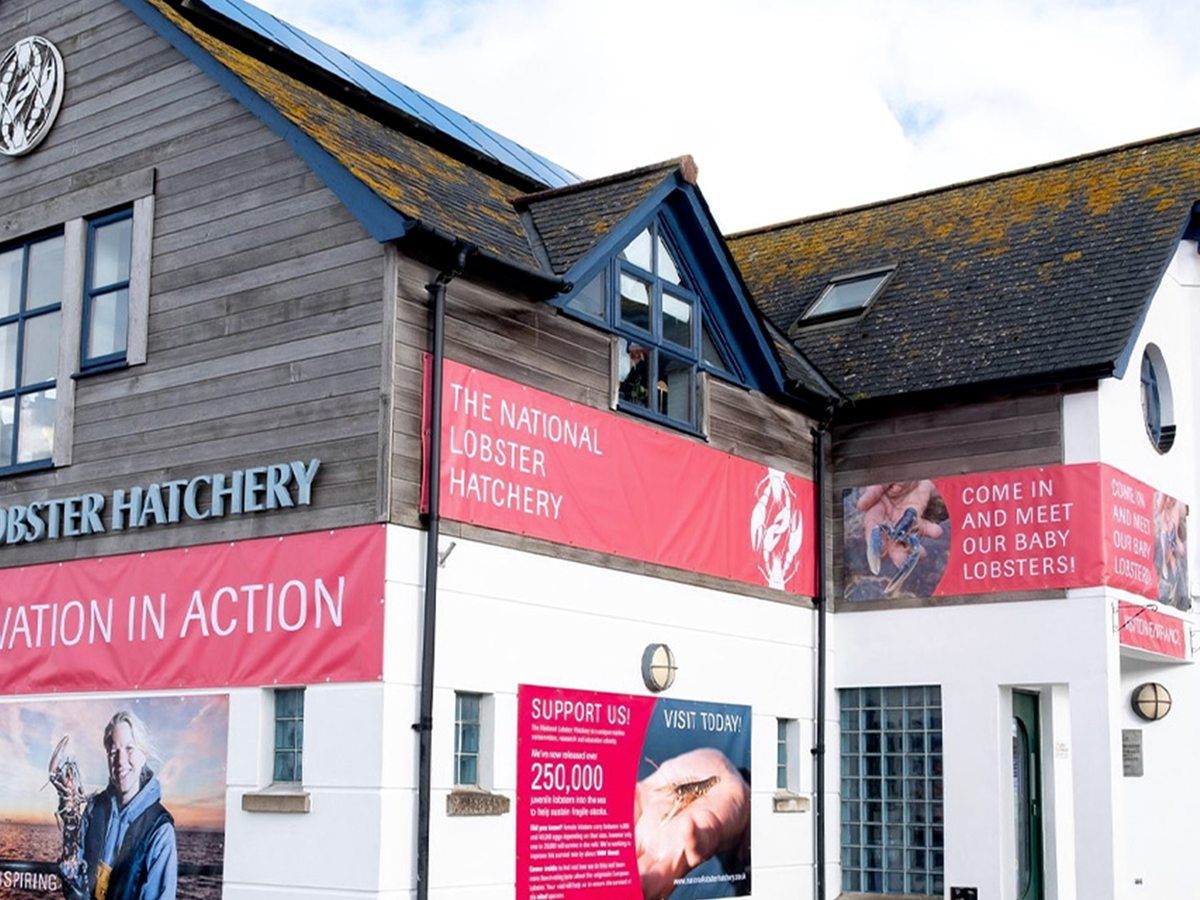 The timber-clad and white-rendered frontage of the National Lobster Hatchery, with red conservation-in-action banners across it.