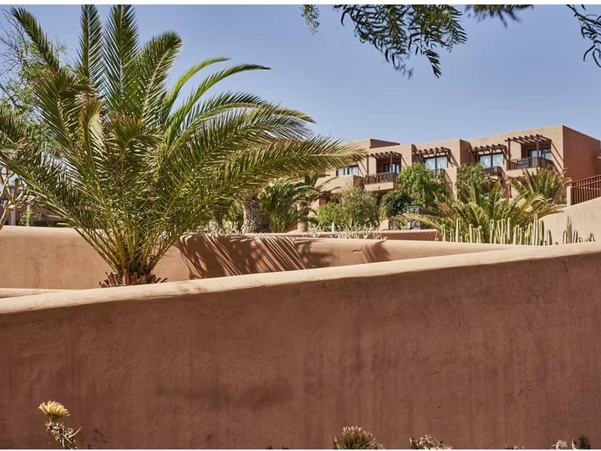 A curving terracotta garden wall with palms and succulents planted along it, terraced room blocks with wooden pergolas rising behind under a clear blue sky.